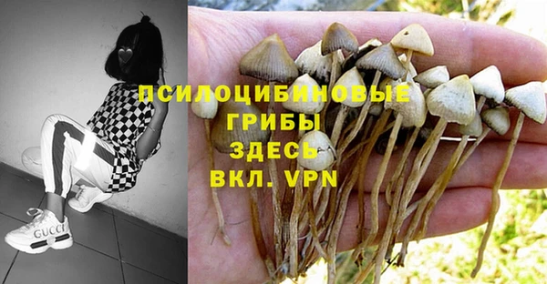 трава Осташков