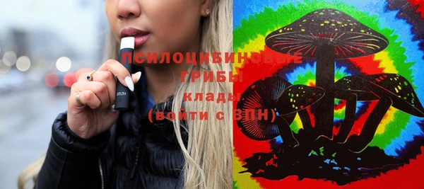 трава Абинск