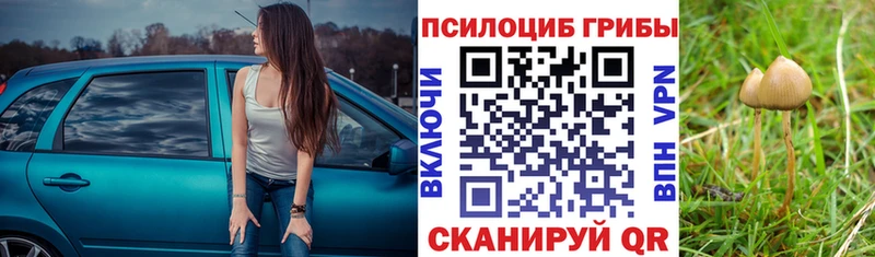 Галлюциногенные грибы ЛСД  Кириллов 