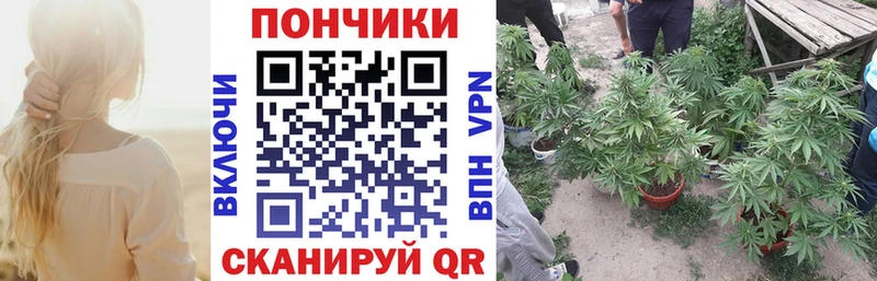 закладка  Кириллов  Каннабис MAZAR 